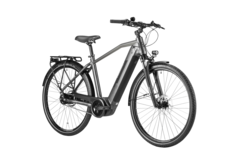 trenoli LIVENZA sportivo M | Trekking E-Bike mit 625 Wh