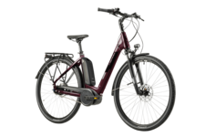 trenoli City E-Bikes der BRENTA Modellreihe