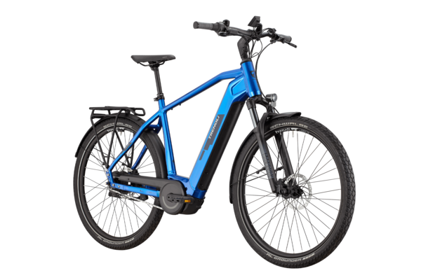 Elektrofahrrad für Alltag, Freizeit und Sport von trenoli