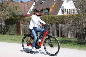 "E-Bike Trenoli Brenta Classico"