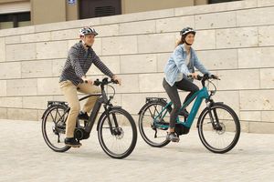 Tanaro sportivo T moos – trenoli Elektrofahrrad